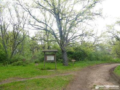 Senderos con historia: De la Pradera de Navalhorno al Chozo Arangüez: viajar con amigos compañeros p
